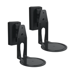 Sanus speaker wall hot sale mount