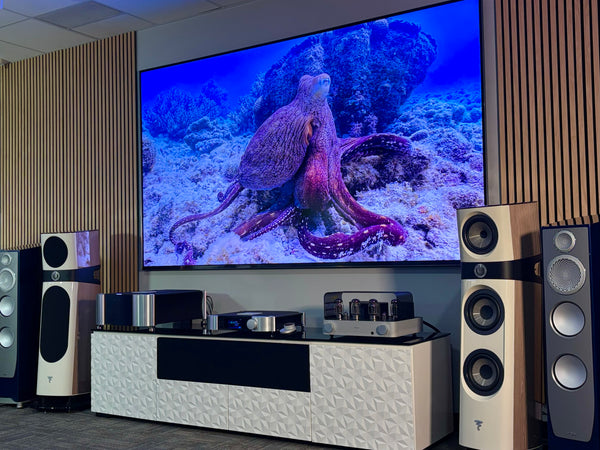 Samsung 115" R95H Micro RGB TV