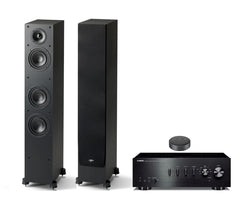 Paradigm, Yamaha & Wiim HiFi System