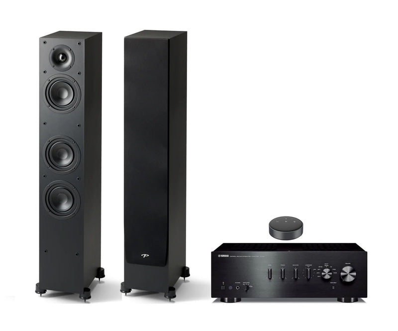 Paradigm, Yamaha & Wiim HiFi System