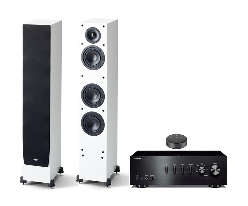 Paradigm, Yamaha & Wiim HiFi System