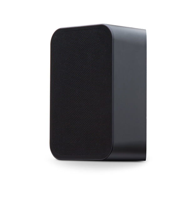 Bluesound PULSE FLEX 2i Wireless Speaker