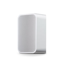 Bluesound PULSE FLEX 2i Wireless Speaker